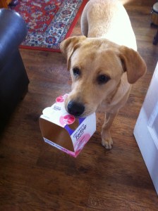 Buddy helps with fortisips