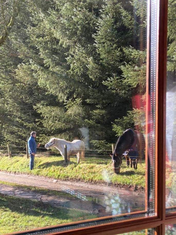 86725306_3192134930799026_4789641099209605120_n