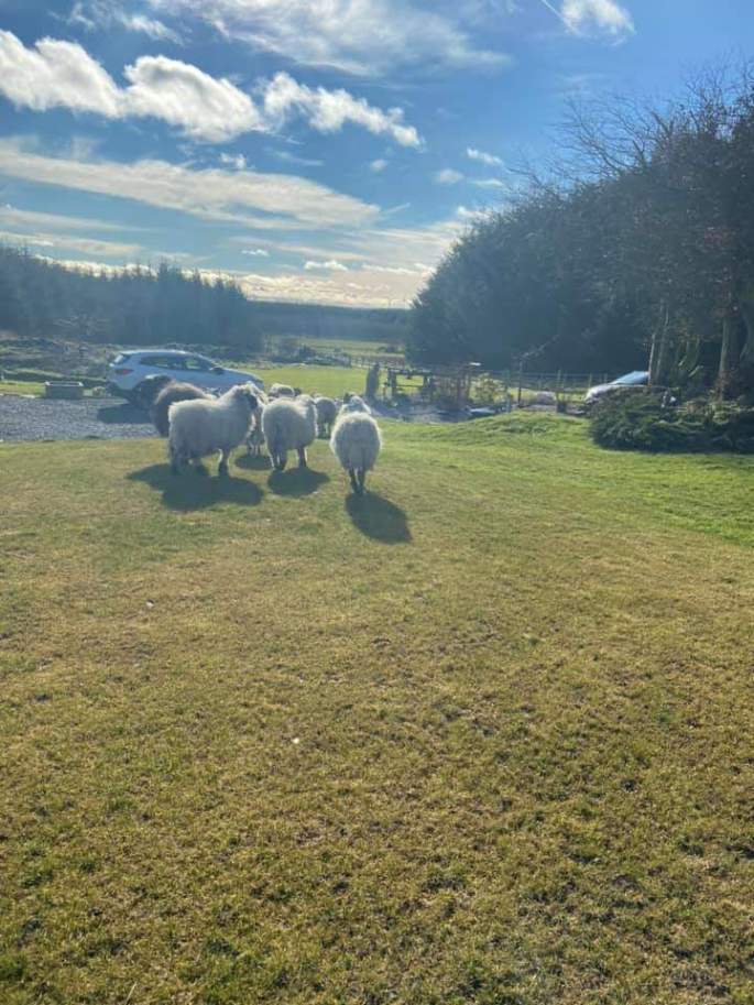 87286956_3201446476534538_439886981338497024_n