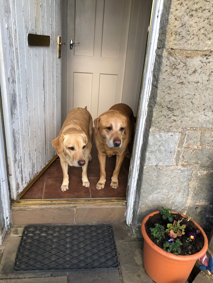 96D7BA24-C3F0-4B13-949A-5E8BA6023DB5